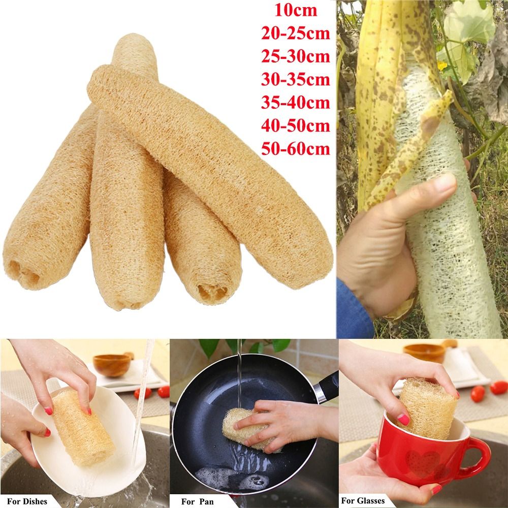 Body Loofah Natural - Esponja de Luffa Natural, Antiadherente, para