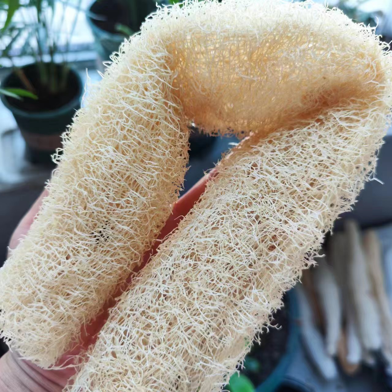 Body Loofah Natural - Maravillosa esponja de lufa versátil para