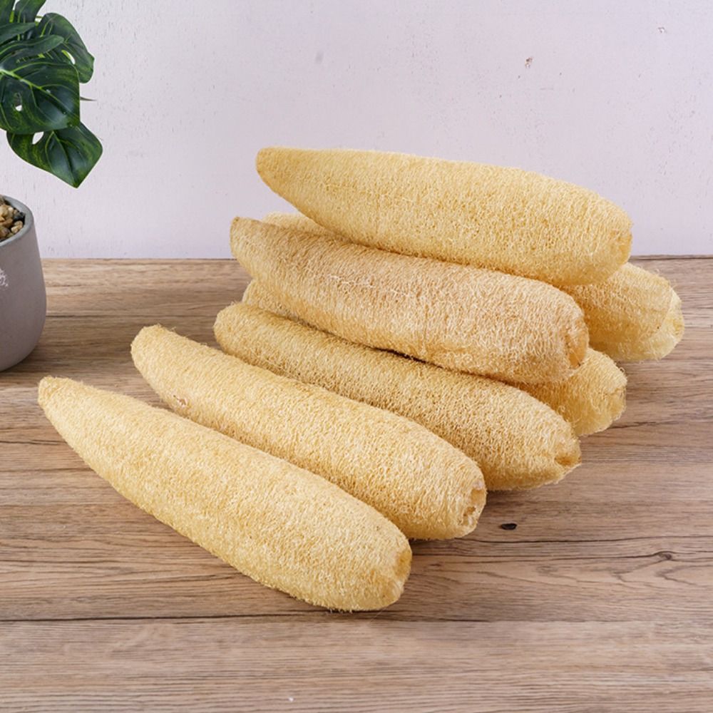 Esponja de Luffa Natural, Anti - Body Loofah Natural reseña y precio