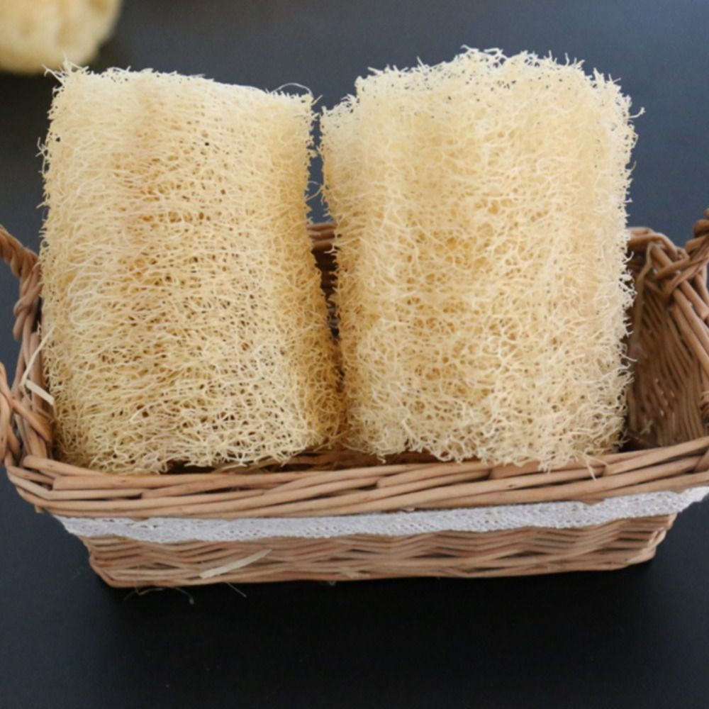 Esponja de Luffa Natural, Anti - Body Loofah Natural reseña y precio