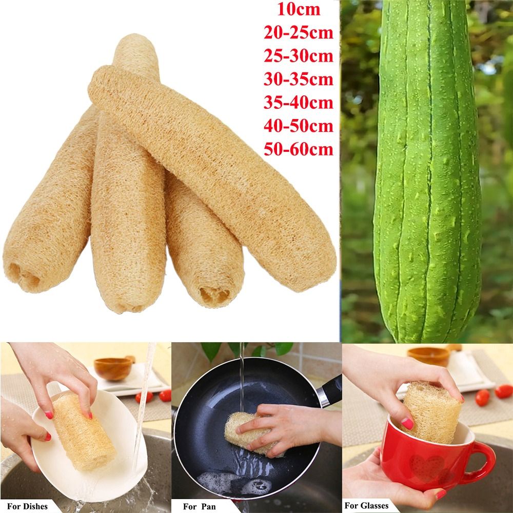 Esponja de Luffa Natural, Espo - Body Loofah Natural reseña y precio