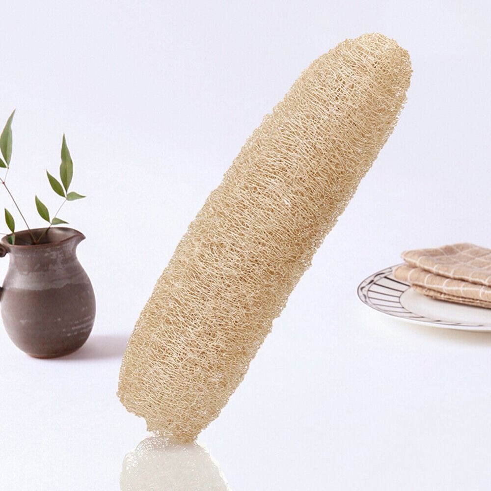 Esponja de Luffa Natural, Espo - Body Loofah Natural reseña y precio