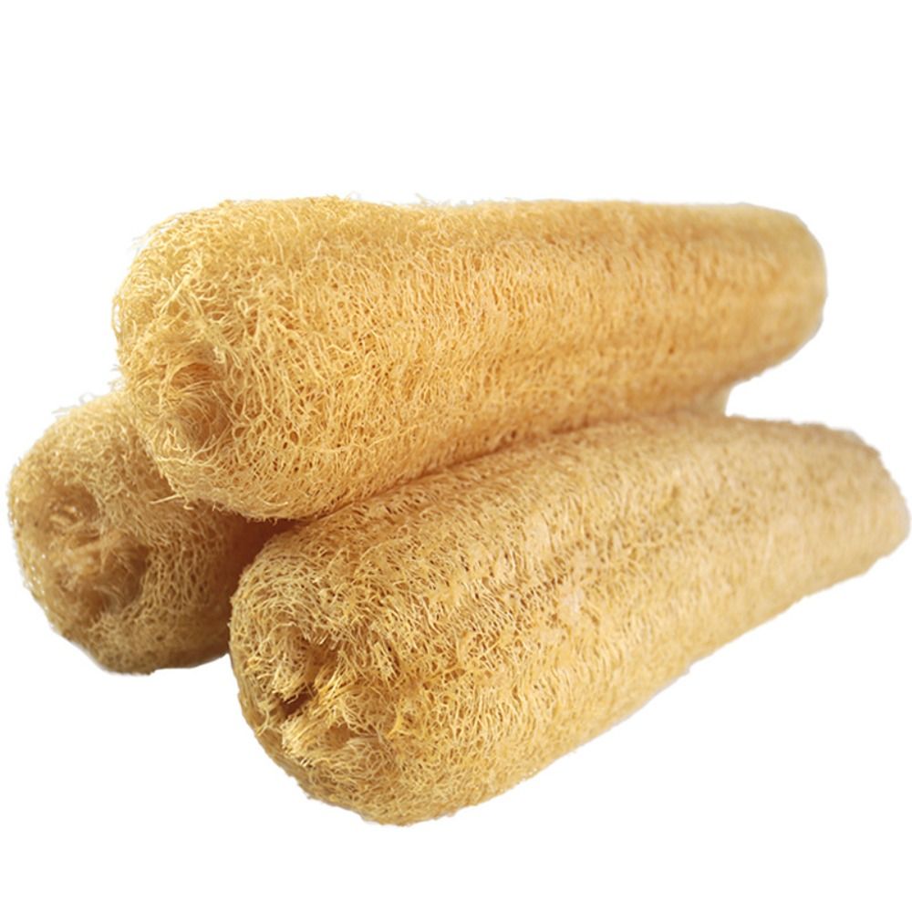 Esponja de Luffa Natural, Espo - Body Loofah Natural reseña y precio