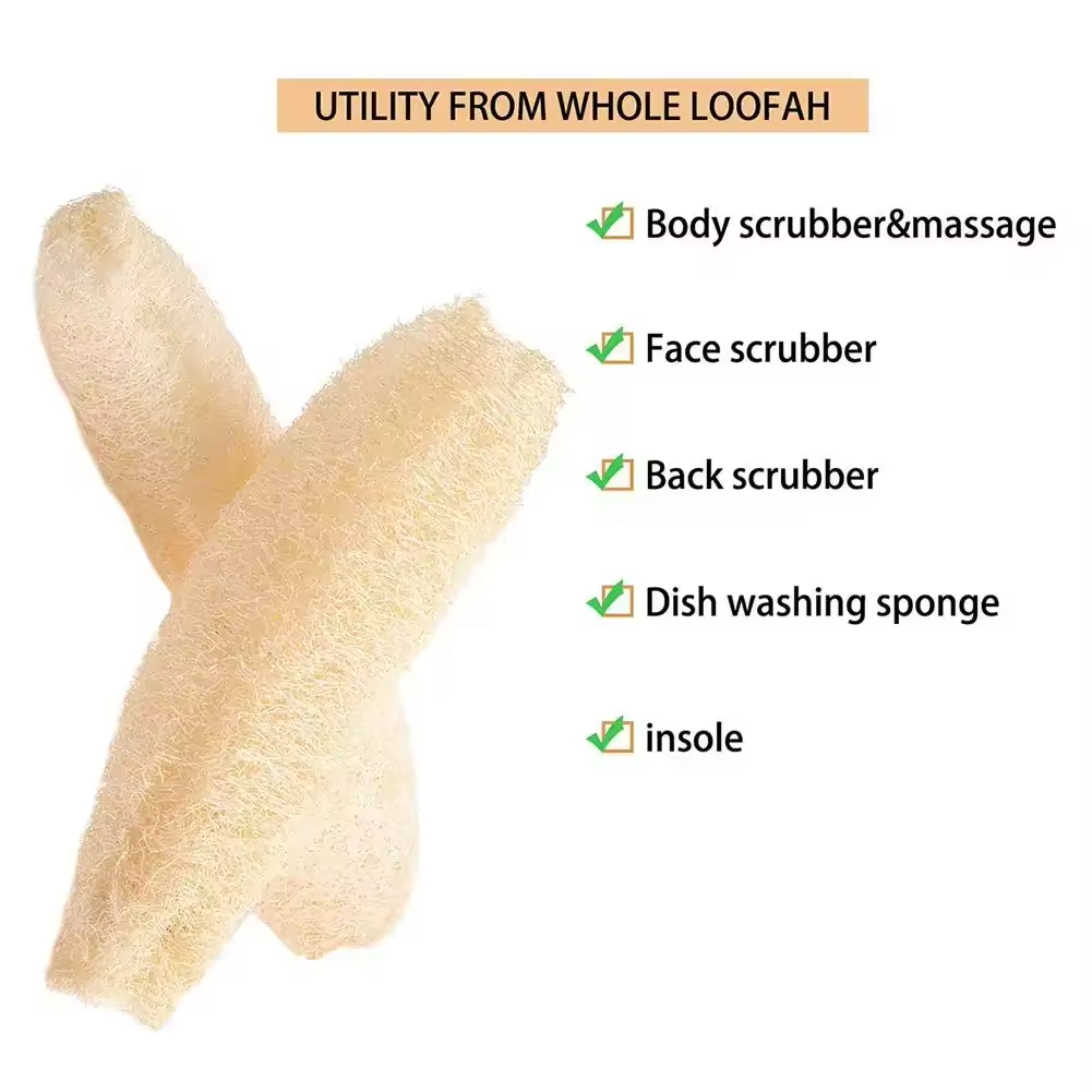 Esponja de lufa Natural, herra - Body Loofah Natural reseña y precio