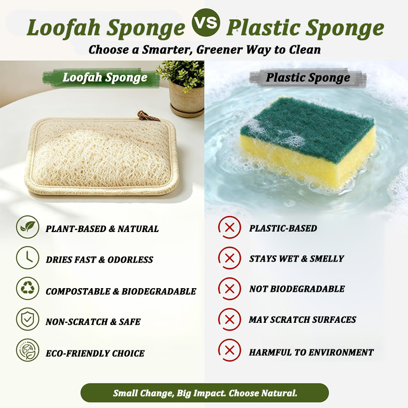 Esponja de Luffa Natural Reuti - Body Loofah Natural reseña y precio