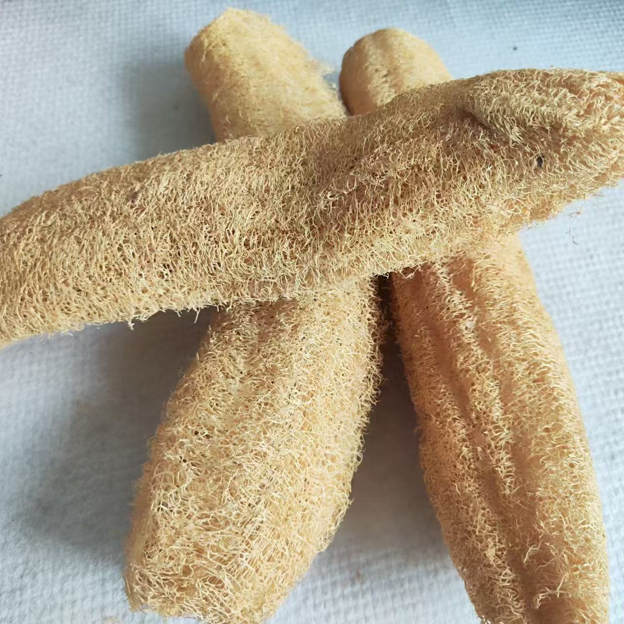 Maravillosa esponja de lufa ve - Body Loofah Natural reseña y precio